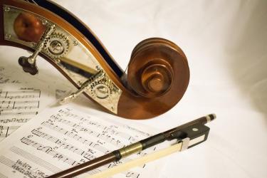 Chapman Challenge: Do Composers Write for Each Instrument?